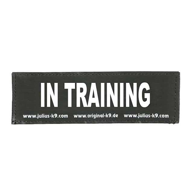 Training Dog Harness Patches, Service Dog Training Patch