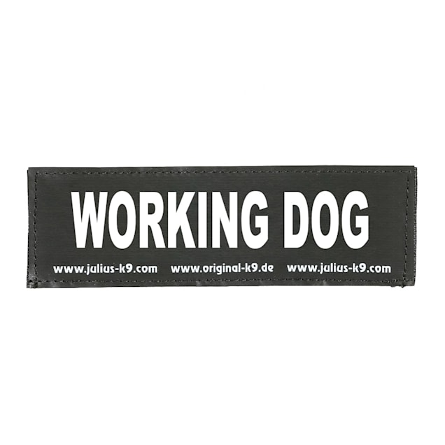 Working K9 Patch