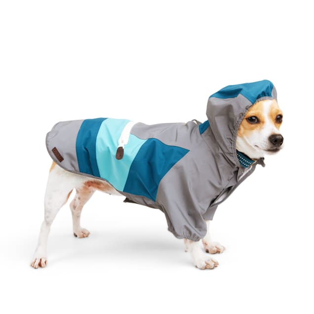 Reddy Dog Raincoat