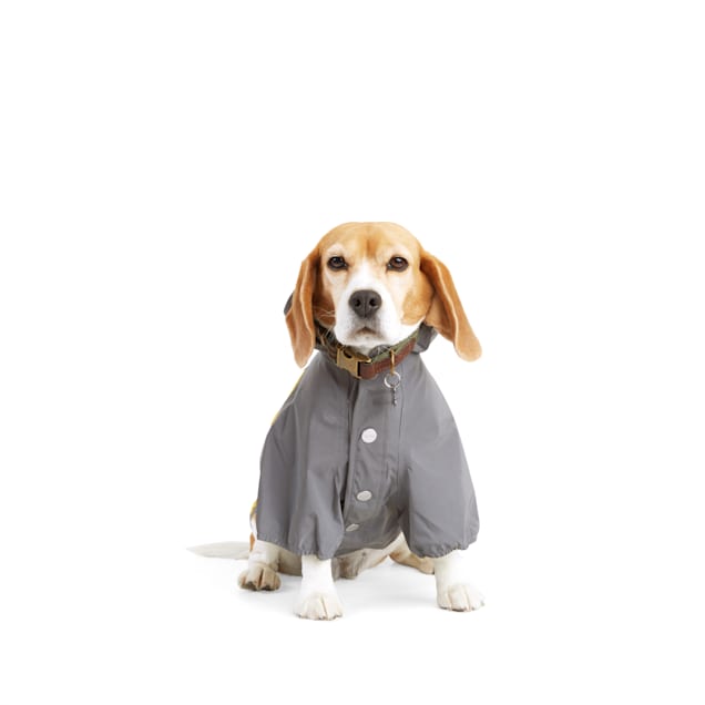 Reddy green lined surplus dog jacket top