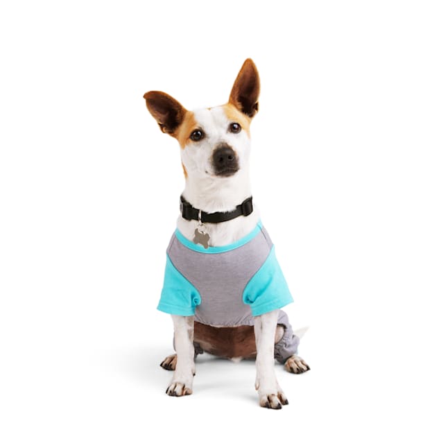 Petco dog onesie hotsell