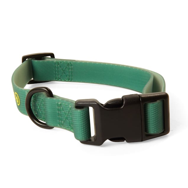 Backcountry x Petco The Green Dog Collar, Small Petco