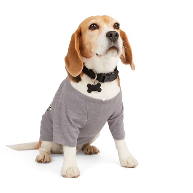 Backcountry x Petco The Sun Shield Dog T Shirt X Small Petco
