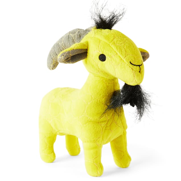 Backcountry x Petco Tough Plush Dog Toy Small