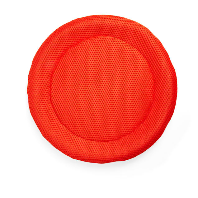 Kong frisbee petco cheap