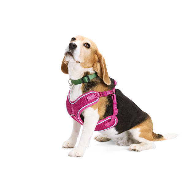 Dog 2025 harness doodlebone