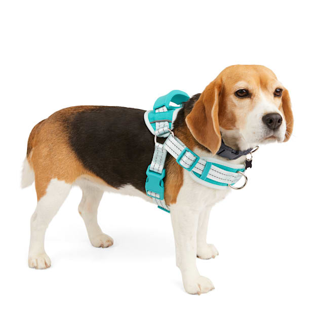 Three peaks dog discount harness