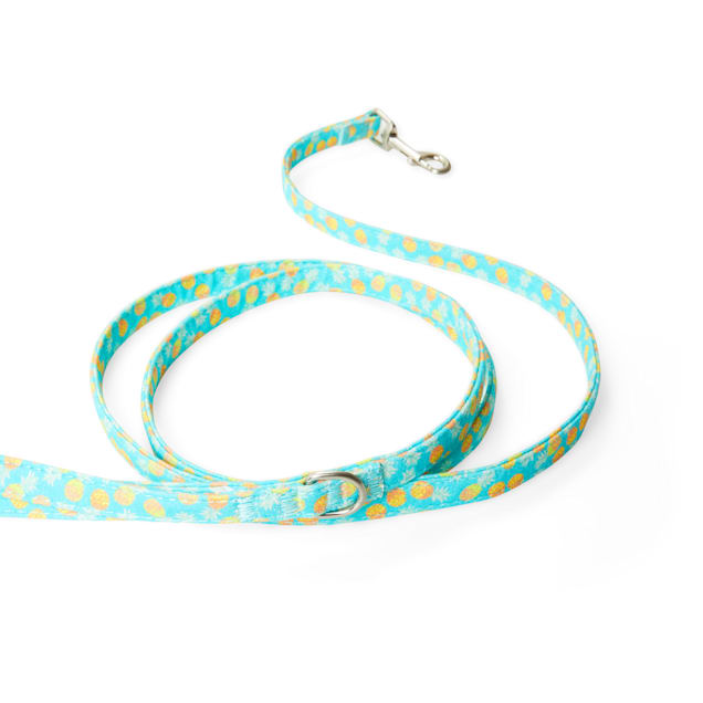 Pineapple dog collar deals and leash