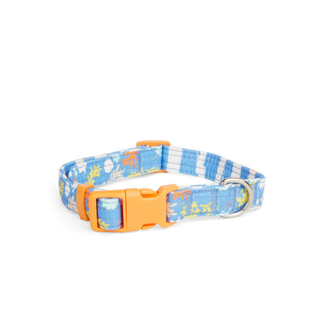 Coral color deals dog collar