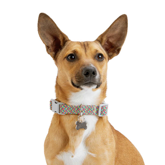 YOULY Multicolored Reflective Dog Collar, Small