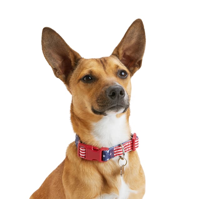 Petco dog collars online