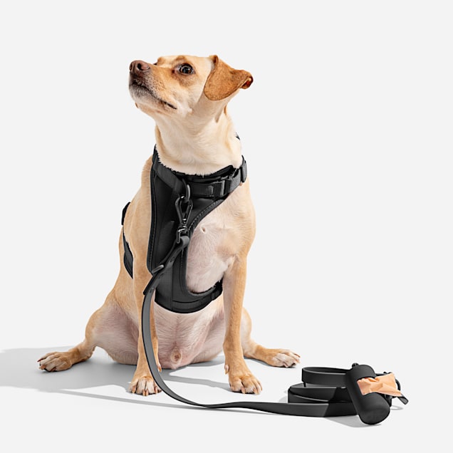 Elite Premium Dog Harness And Leash