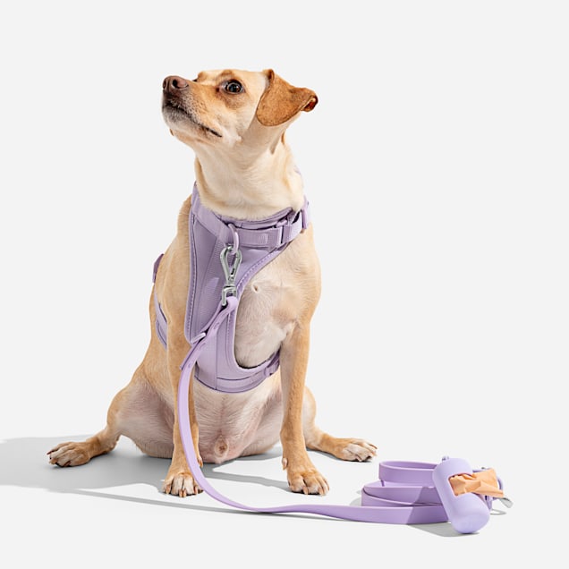 Wild One Lilac Dog Harness Medium