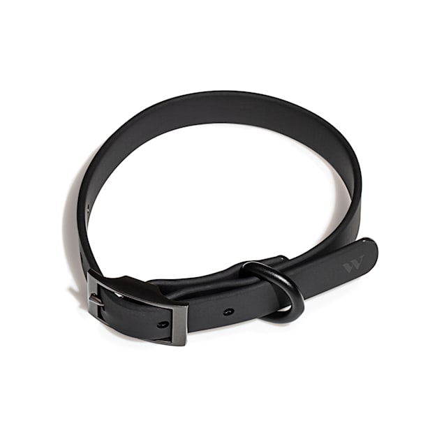 Wild One Black Dog Collar Small Petco
