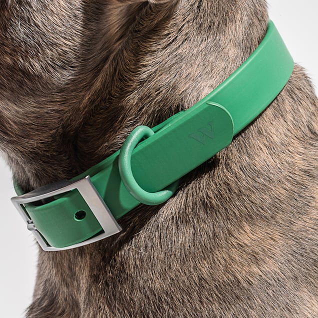 Wild one dog collar review best sale