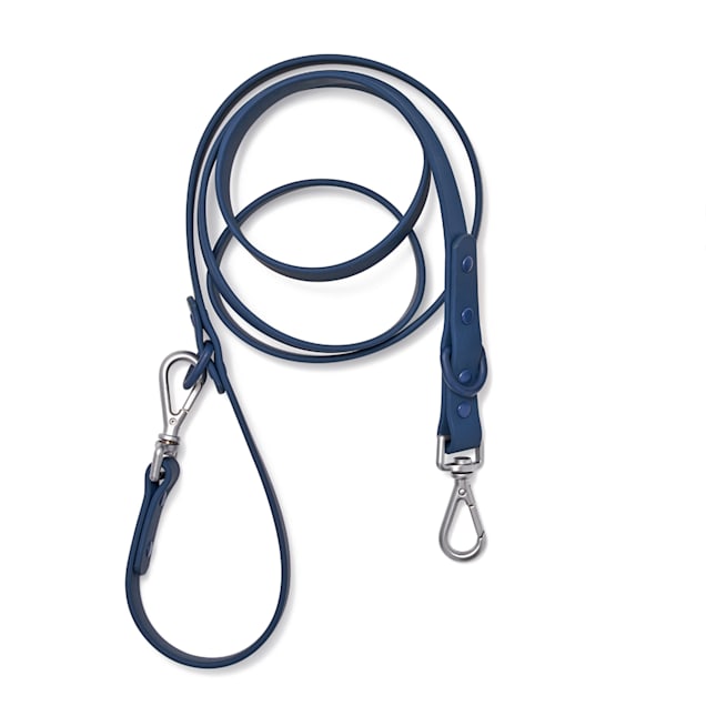 Pet valu leashes 2025