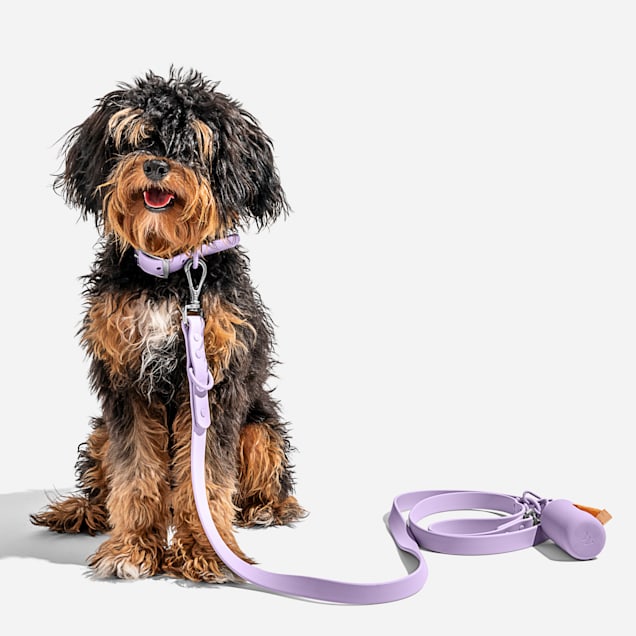 Wild One Lilac Dog Leash, 54 L