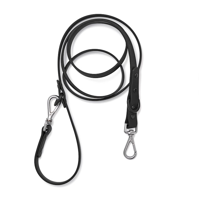 Waist leash petco 2025