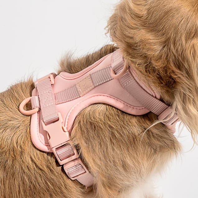 Wild top one harness