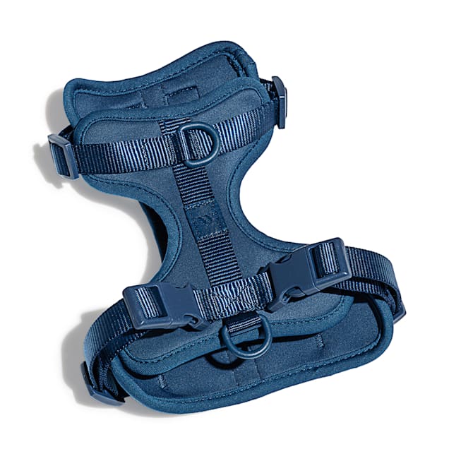 Wild One Navy Dog Harness, Medium | Petco