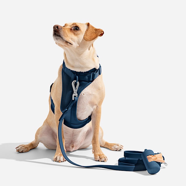 The wild one dog harness 2025