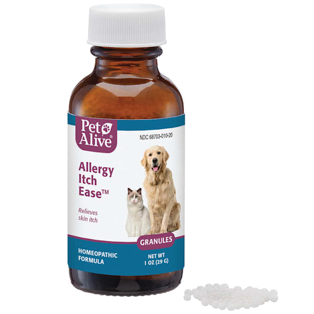 Homeopathic allergy medicine for dogs 2025