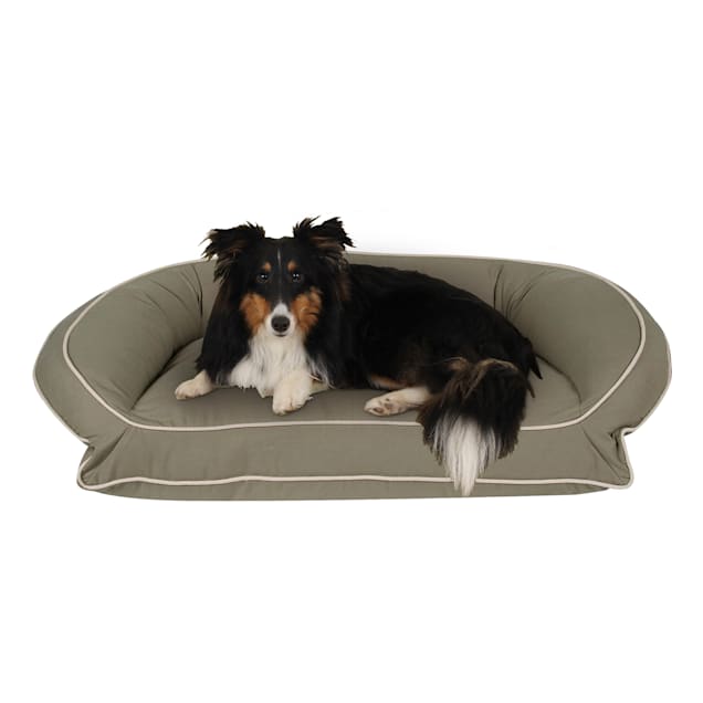 Carolina pet company bolster bed discount
