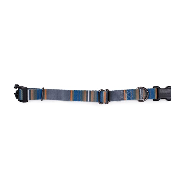 Pendleton Olympic National Park Adventure Dog Collar