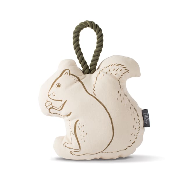 Squirrel rope dog toy sale