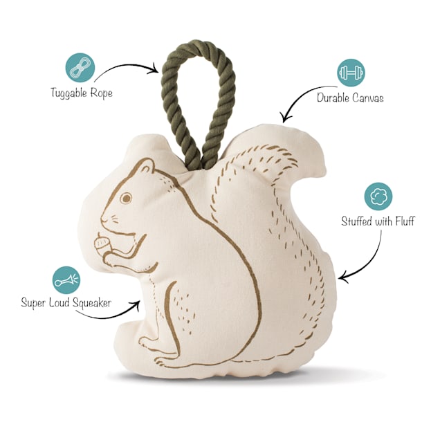 Squirrel rope dog toy new arrivals