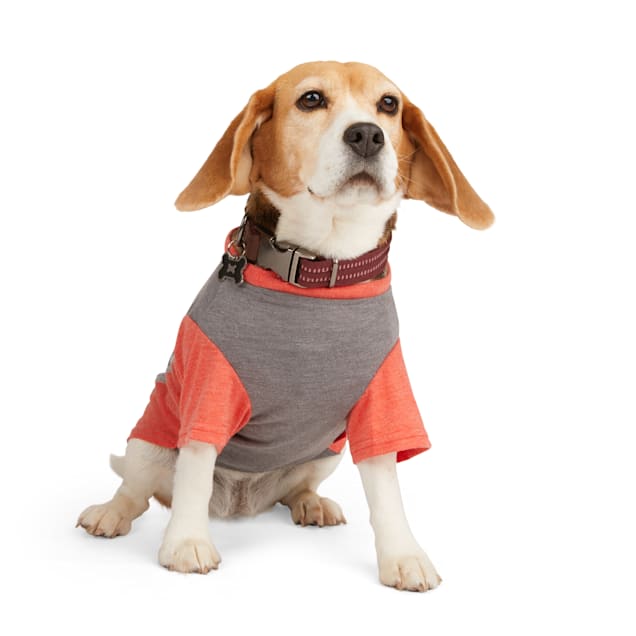Reddy Grey/Red Cooling Dog Tee, Medium Petco