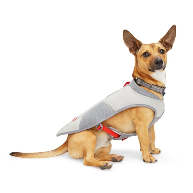 Thunder jacket petbarn hot sale