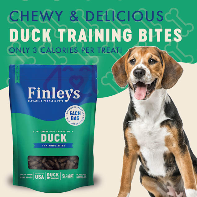 Authority training cheap treats