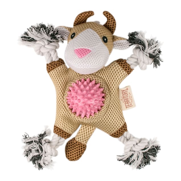 Goat deals dog toy