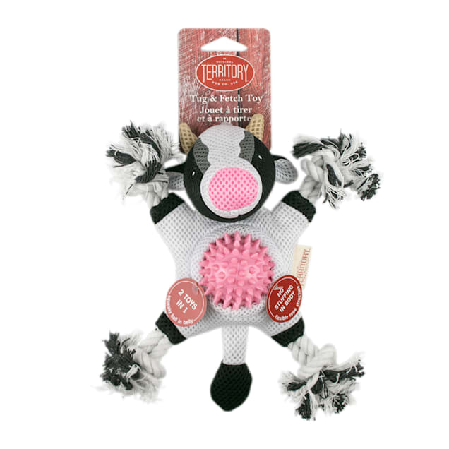 Territory Farm Friends Chicken 2-in-1 Dog Toy, Medium - Carousel image #1