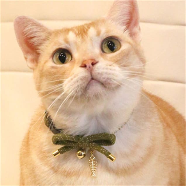 Necoichi Zen Fish Charm Cat Collar