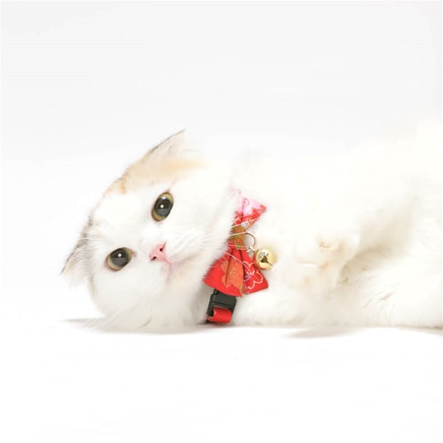 Japanese cat collar with bell - buy 2 for cheaper, Pet Supplies, Homes &  Other Pet Accessories on Carousell
