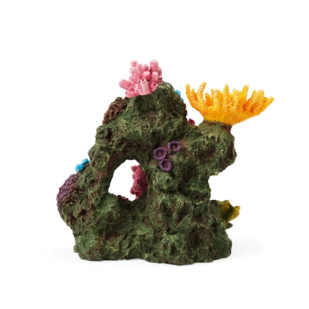 Top fin coral wall aquarium ornament deals