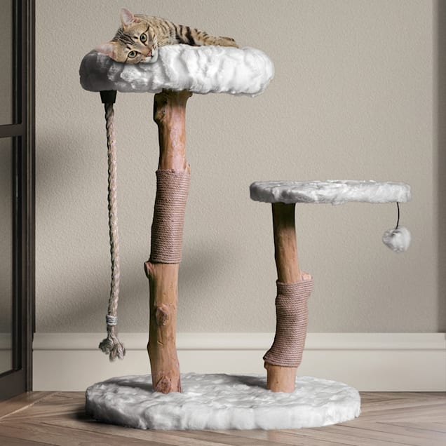 Single cat tower shop