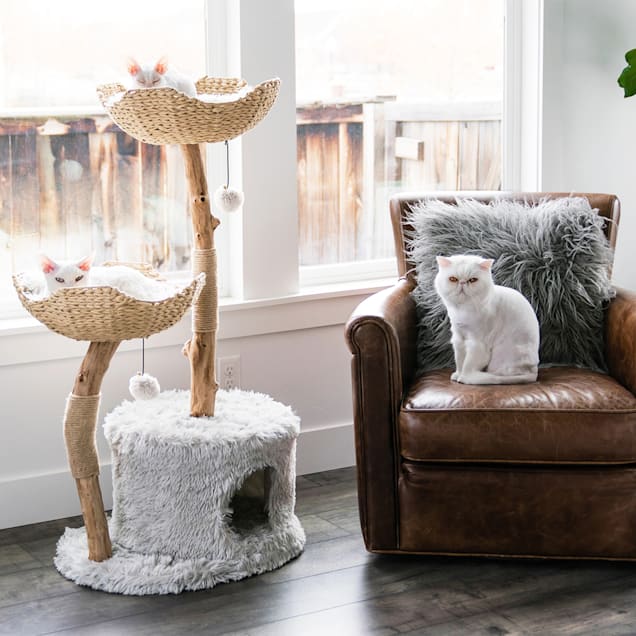 Mau Lifestyle Gray Cento Cat Tree 45 5 H Petco