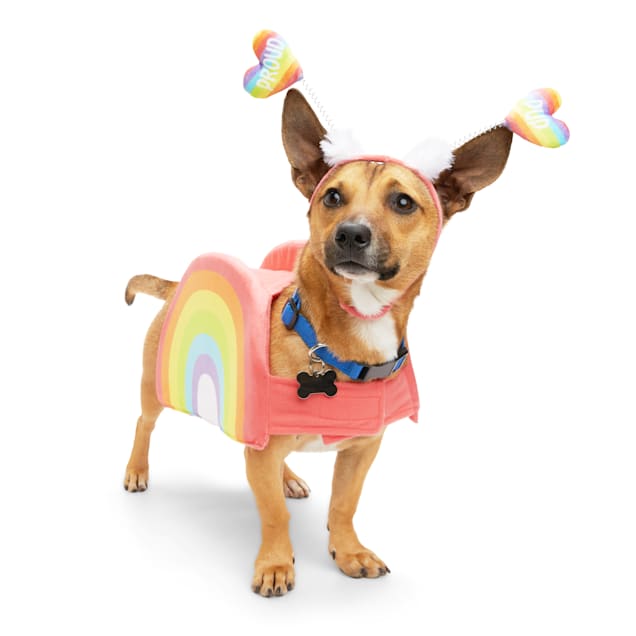YOULY Pride Rainbow Dog Costume X Small