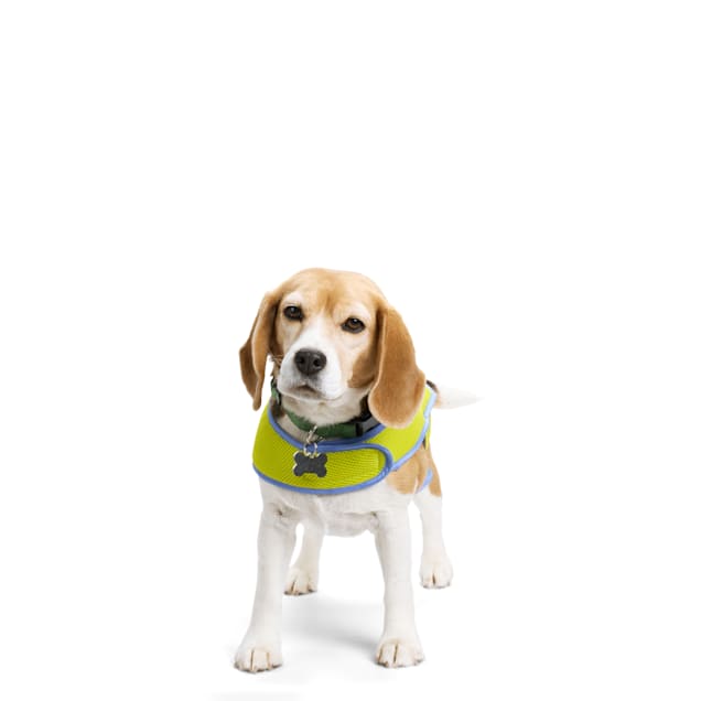 Petco cooling vest store