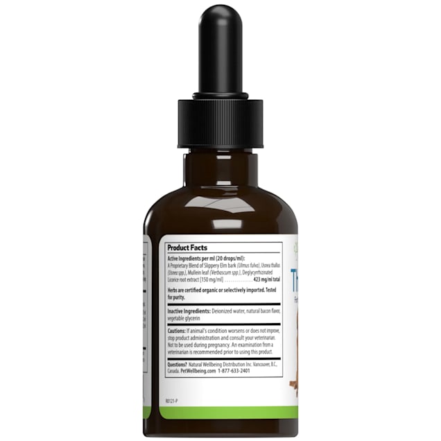 Kennel cough on sale treatment petco