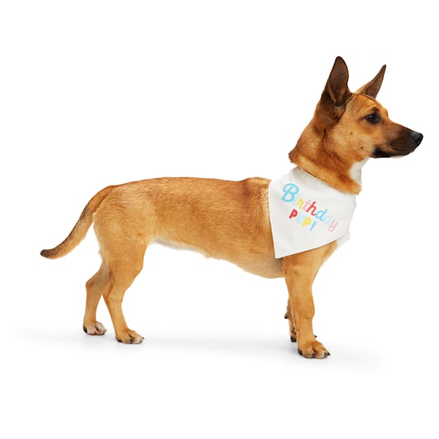 Petco dog birthday discount