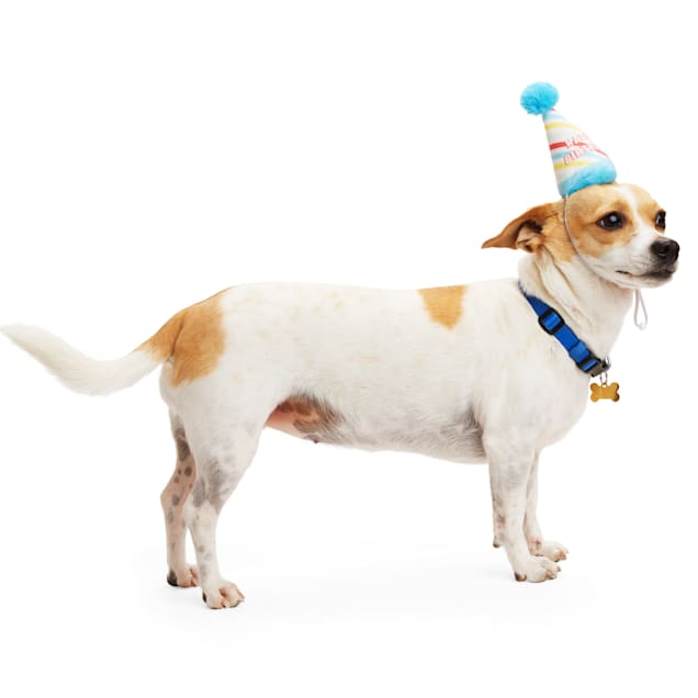 Petco birthday hat shop