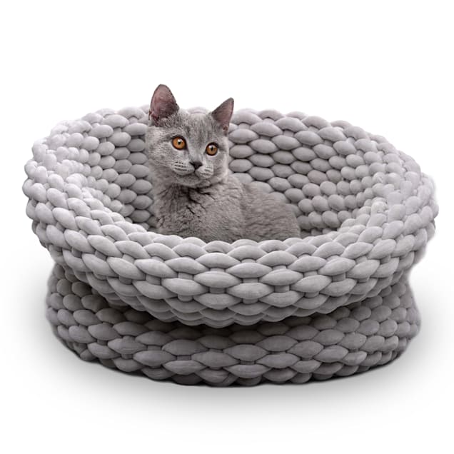 Single cat bed price 2025