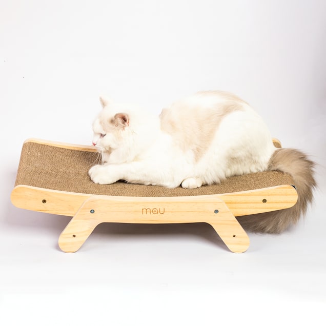 Emery cat scratcher refill best sale