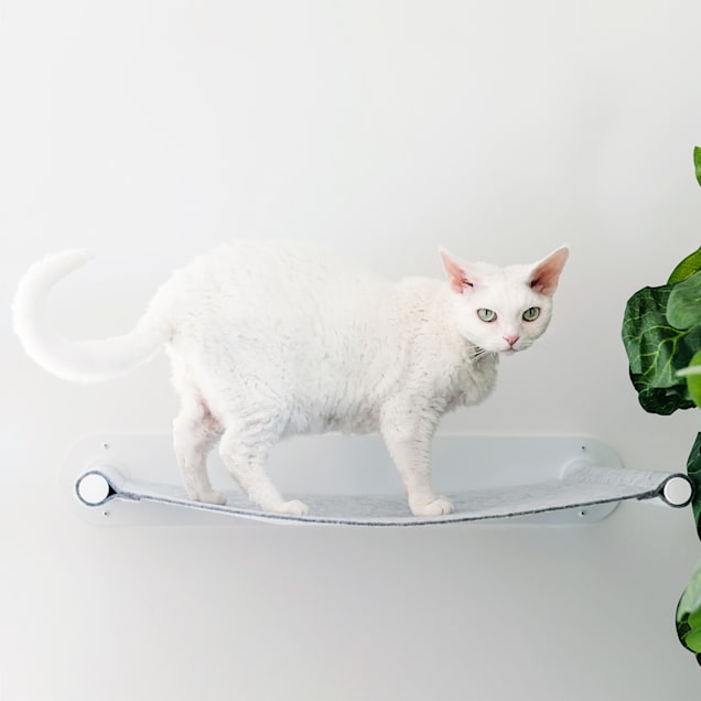 Mau Lifestyle Light Gray Houdini Wall Cat Bed, 14" L X 25.5" W X 4" H - Carousel image #1