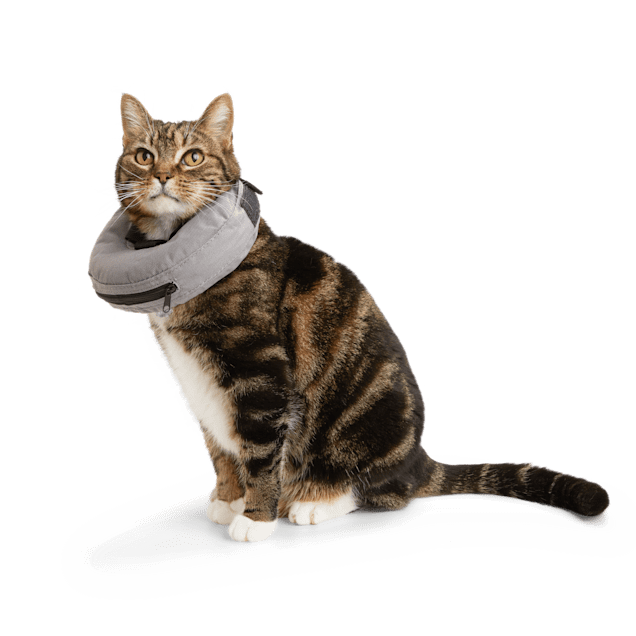 Blow sale up collar