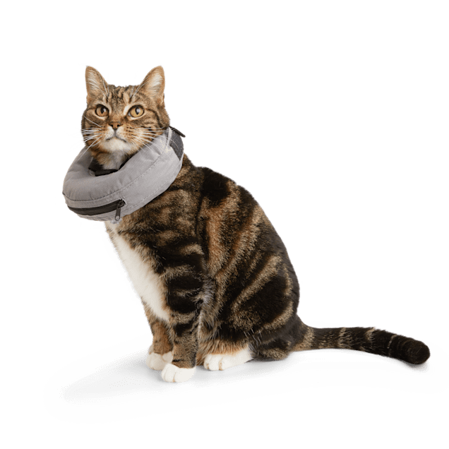 Well & Good Inflatable Recovery Cat Collar